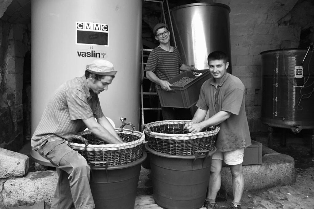 Les trois frères Rocour en pleine vinification